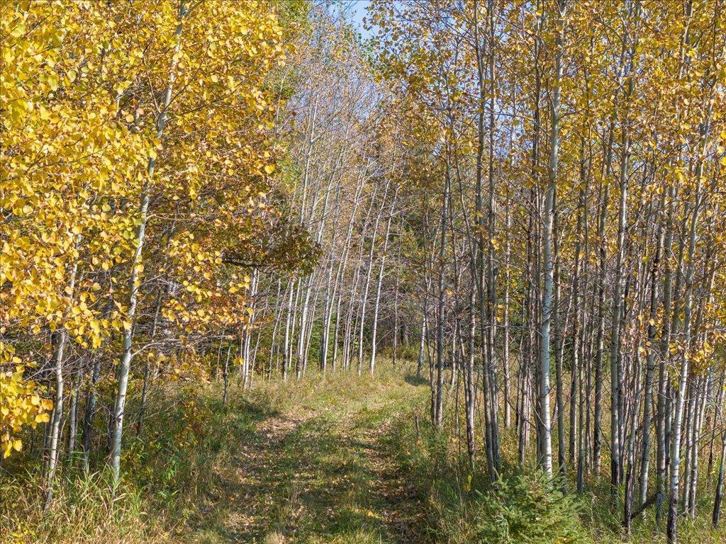 TBD State 64 Akeley Twp MN 56433 7048509 image17