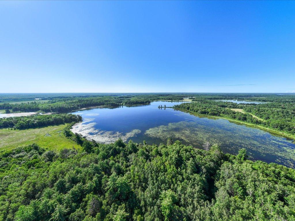 TBD State 84 Longville MN 56655 - Rush 6760876 image10