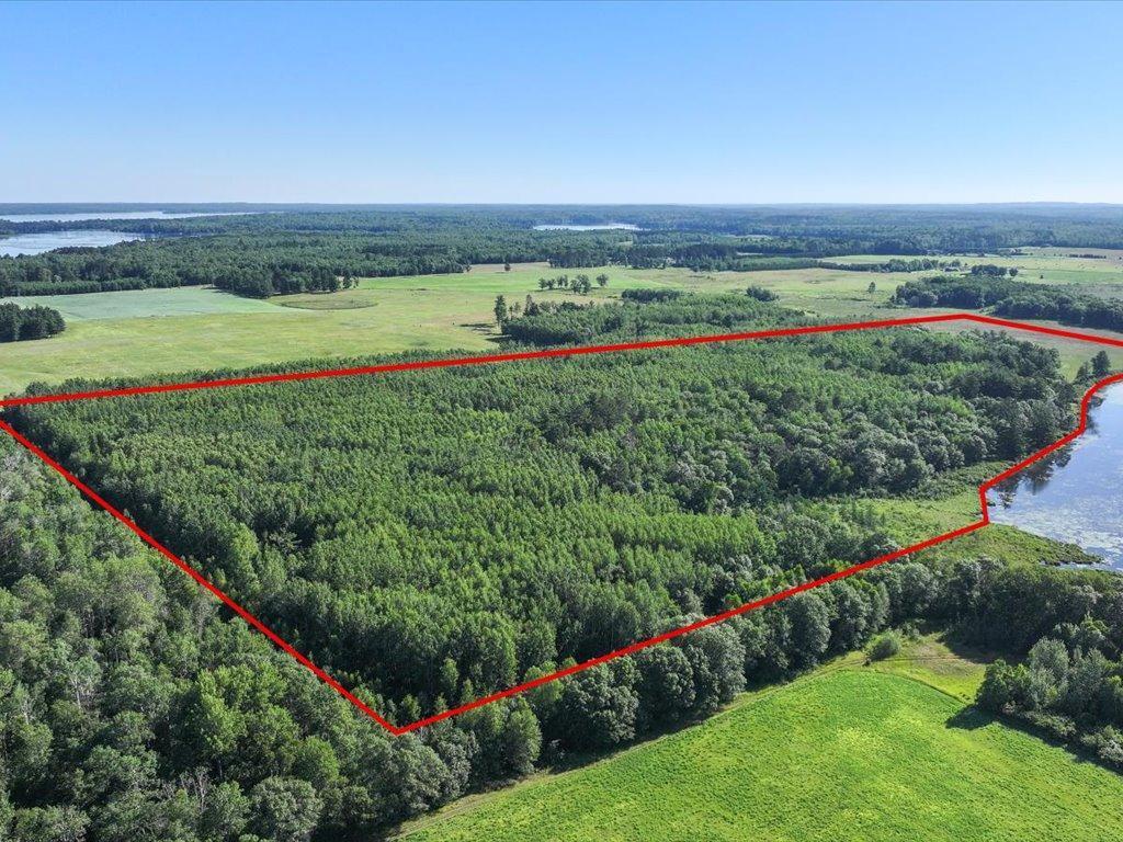 TBD State 84 Longville MN 56655 - Rush 6760876 image4