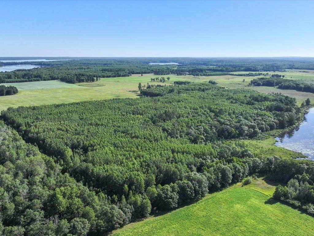 TBD State 84 Longville MN 56655 - Rush 6760876 image7