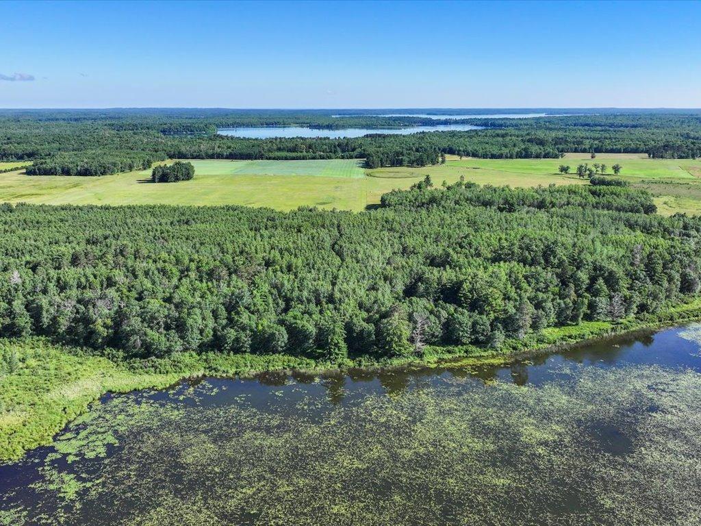 TBD State 84 Longville MN 56655 - Rush 6760876 image8