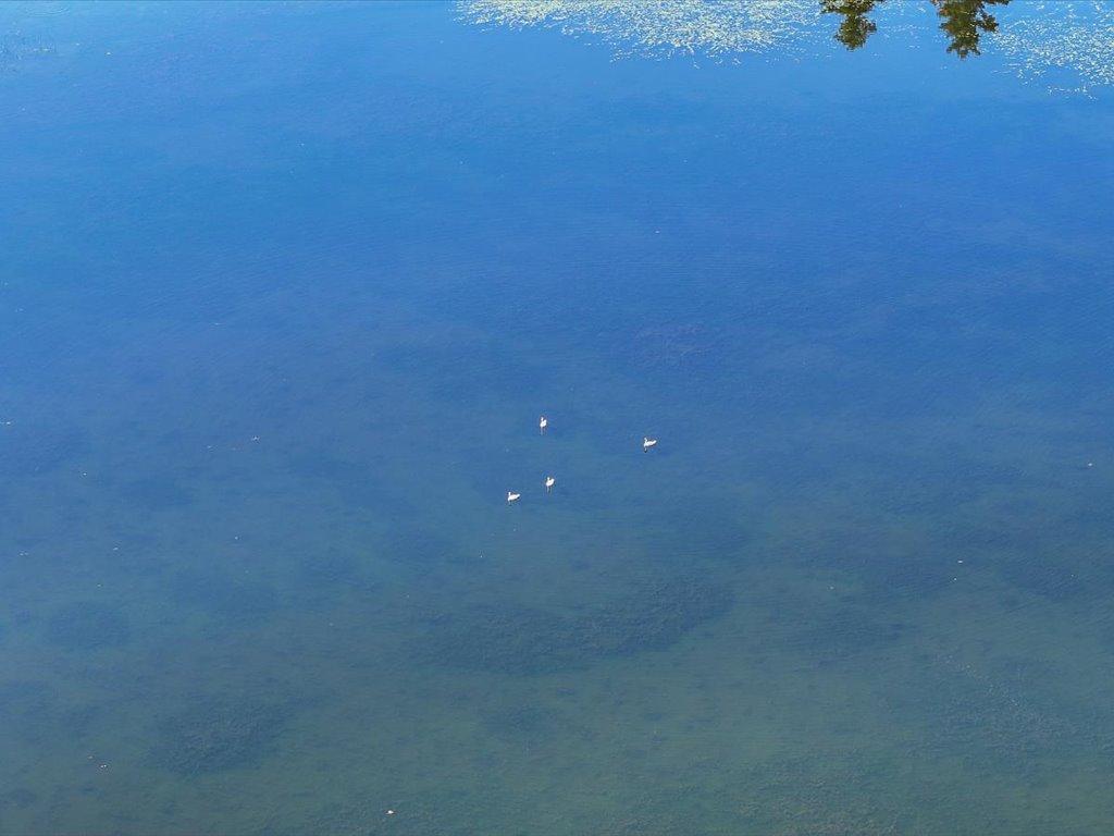 TBD State 84 Longville MN 56655 - Rush 6760876 image9