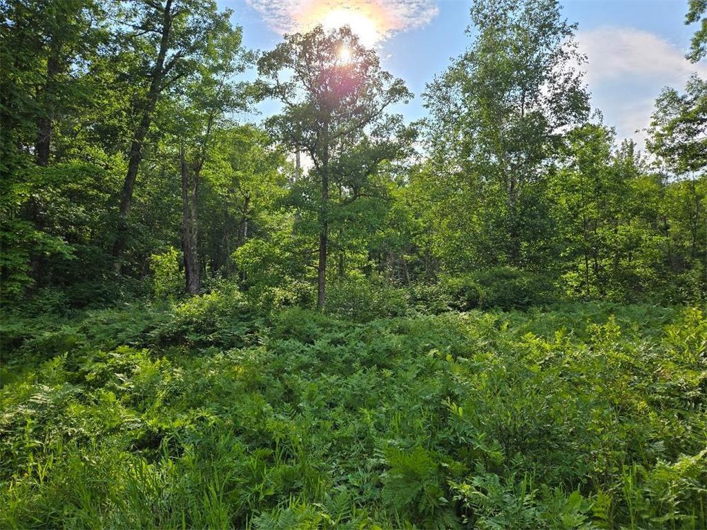TBD State 84 NE Longville MN 56655 - Tadpole 7105197 image2