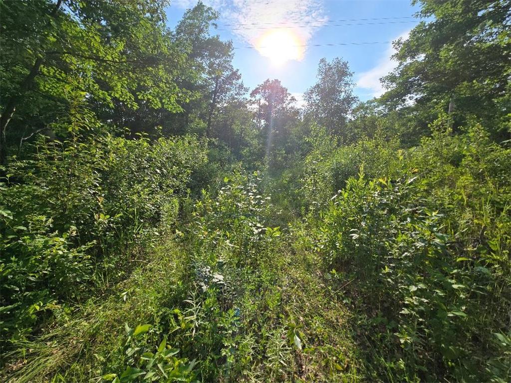 TBD State 84 NE Longville MN 56655 - Tadpole 7105197 image5