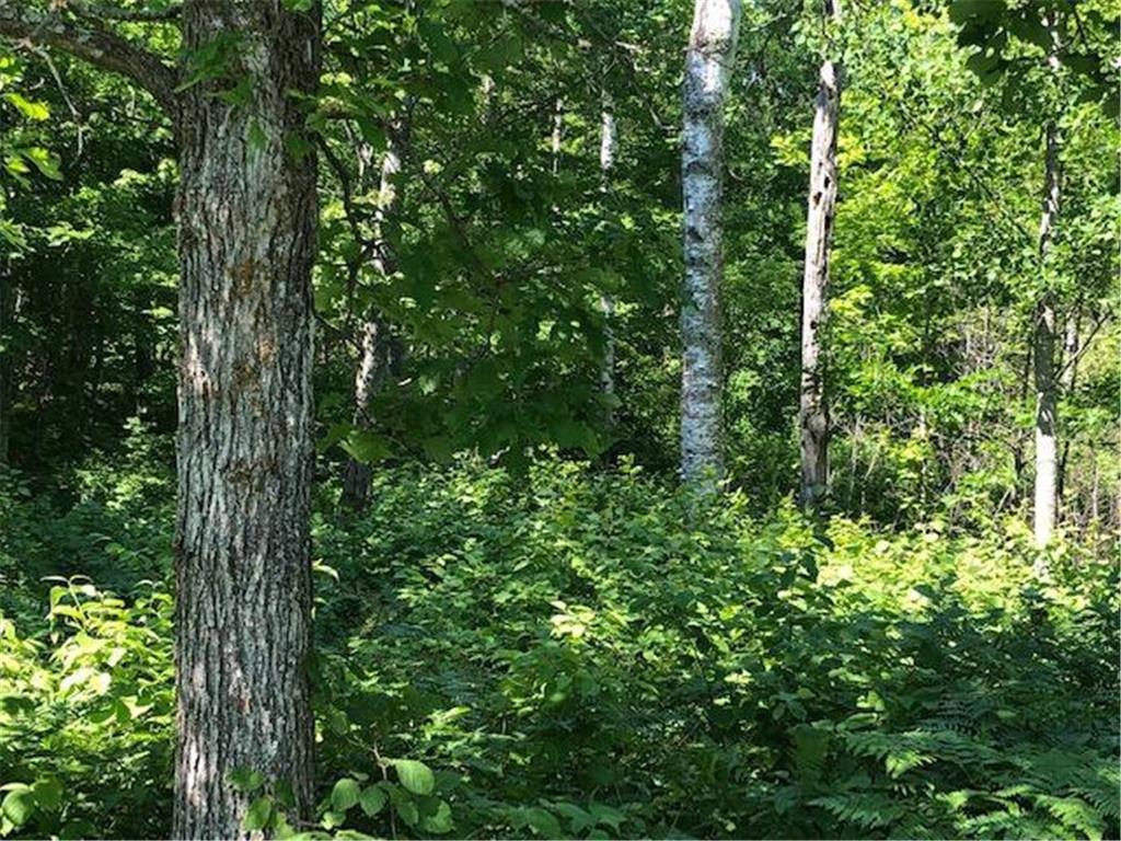 TBD State 84 NE Longville MN 56655 - Tadpole 7105197 image6