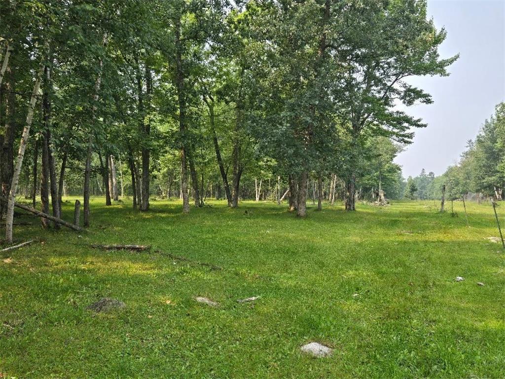 TBD State 87 SW Backus MN 56435 6771316 image3