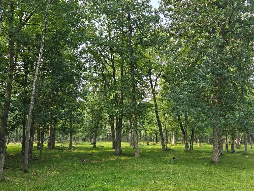 TBD State 87 SW Backus MN 56435 6771316 image4