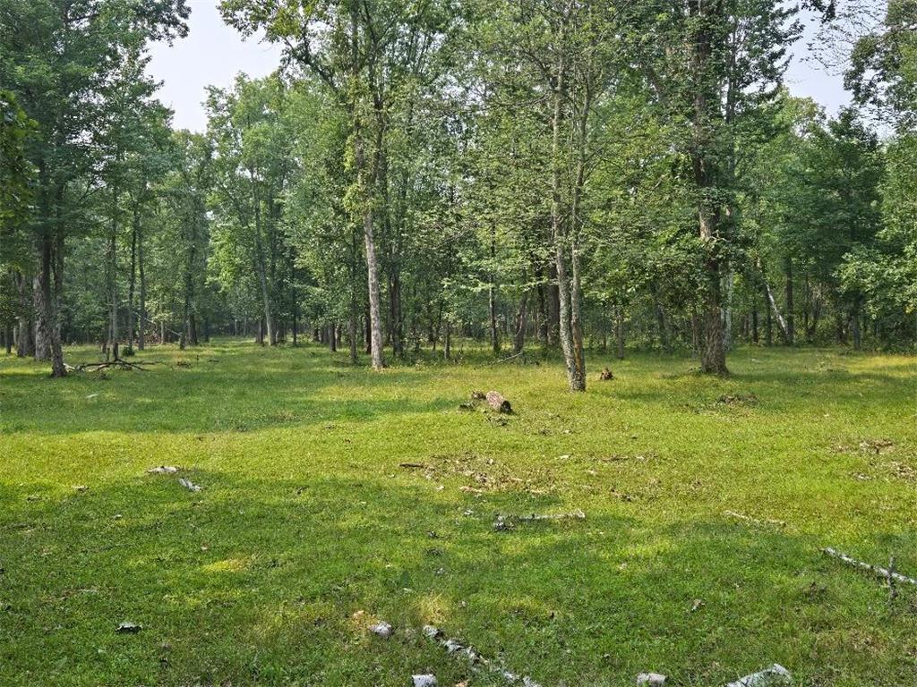 TBD State 87 SW Backus MN 56435 6771316 image5