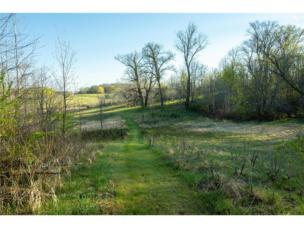 Tract 4 - TBD State Highway 108 Lida Twp MN 56572 7091706 image15