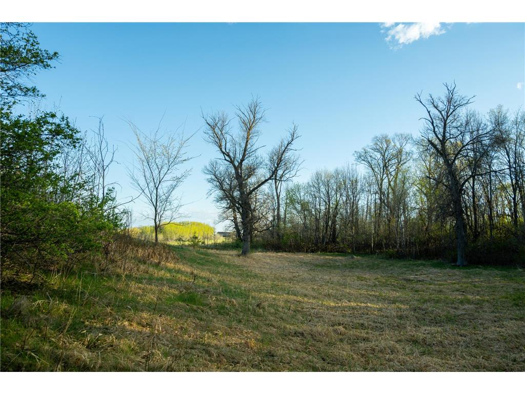 Tract 4 - TBD State Highway 108 Lida Twp MN 56572 7091706 image16