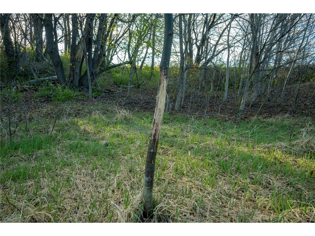 Tract 4 - TBD State Highway 108 Lida Twp MN 56572 7091706 image18