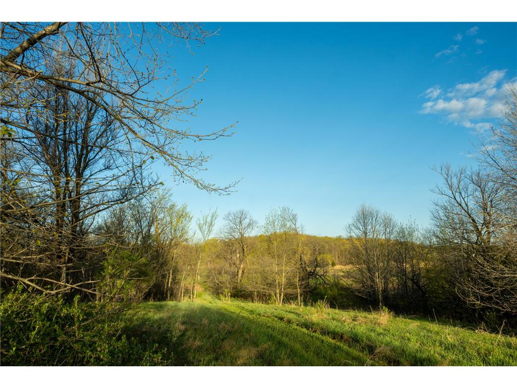 Tract 4 - TBD State Highway 108 Lida Twp MN 56572 7091706 image19