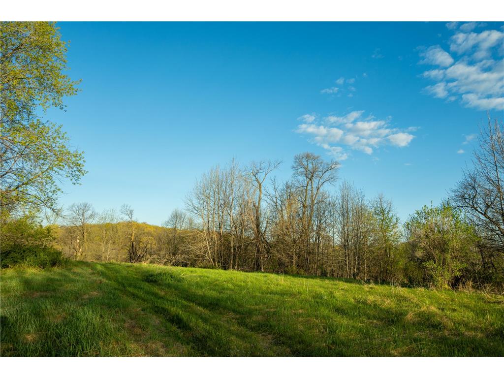 Tract 4 - TBD State Highway 108 Lida Twp MN 56572 7091706 image20