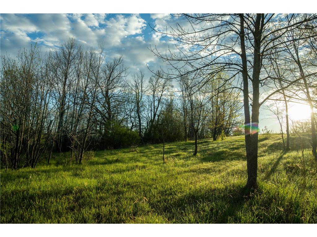 Tract 4 - TBD State Highway 108 Lida Twp MN 56572 7091706 image24