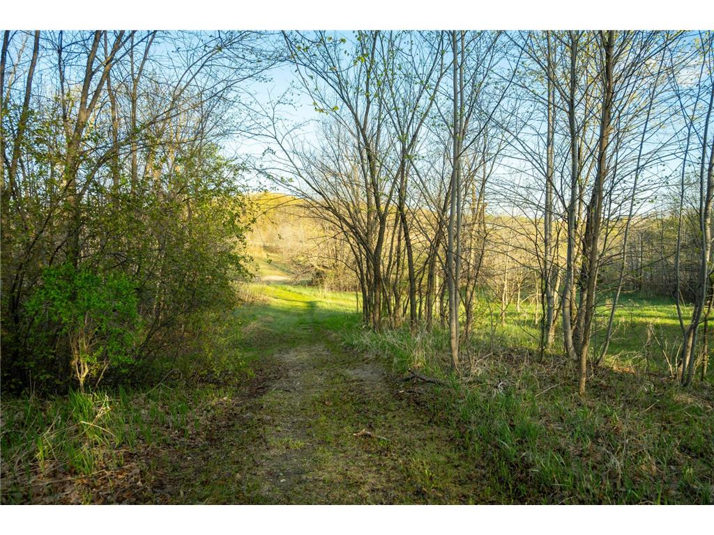 Tract 4 - TBD State Highway 108 Lida Twp MN 56572 7091706 image25