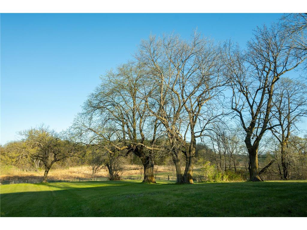 Tract 4 - TBD State Highway 108 Lida Twp MN 56572 7091706 image26