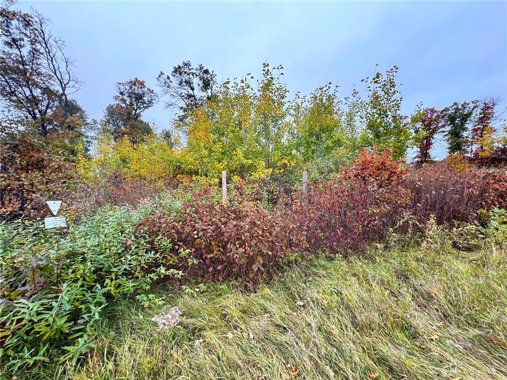 TBD State Highway 371 Brainerd MN 56401 6805608 image14