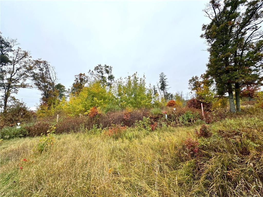 TBD State Highway 371 Brainerd MN 56401 6805608 image19