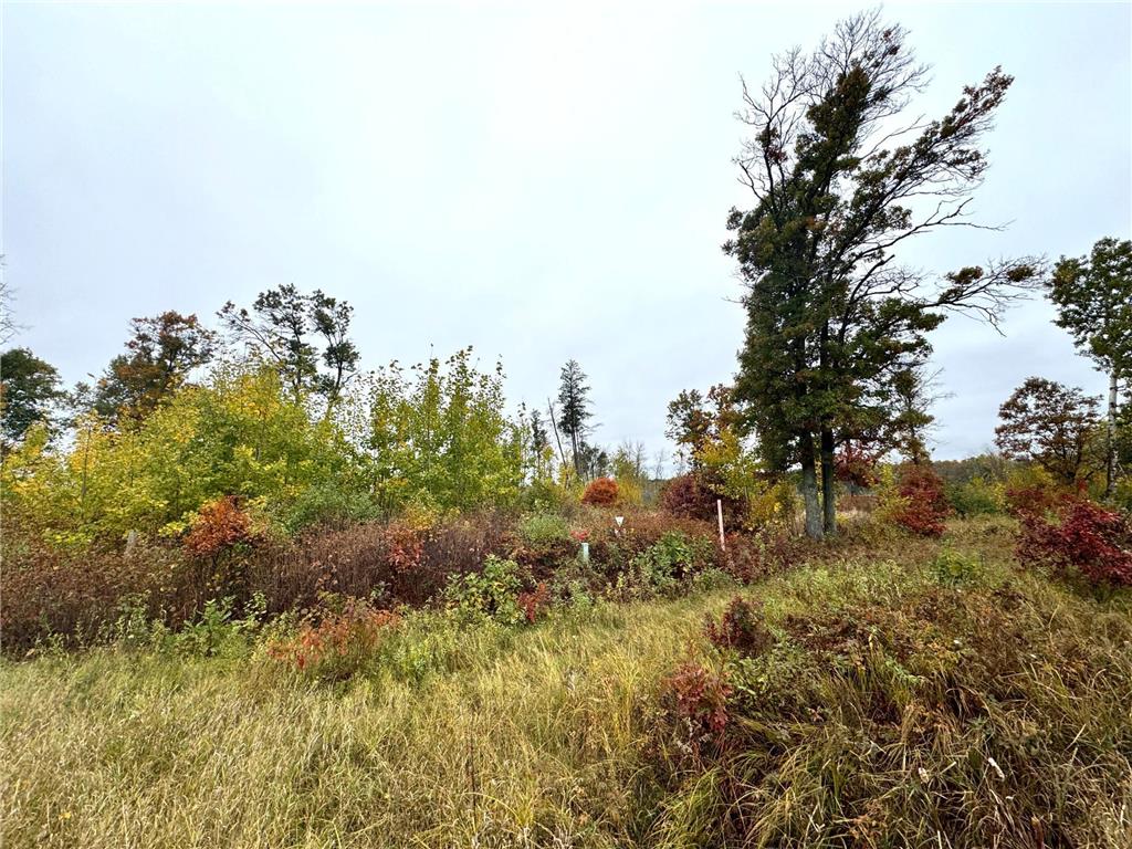 TBD State Highway 371 Brainerd MN 56401 6805608 image22