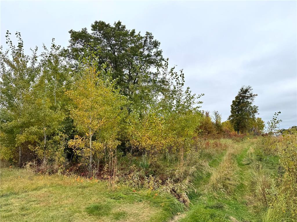 TBD State Highway 371 Brainerd MN 56401 7033774 image13