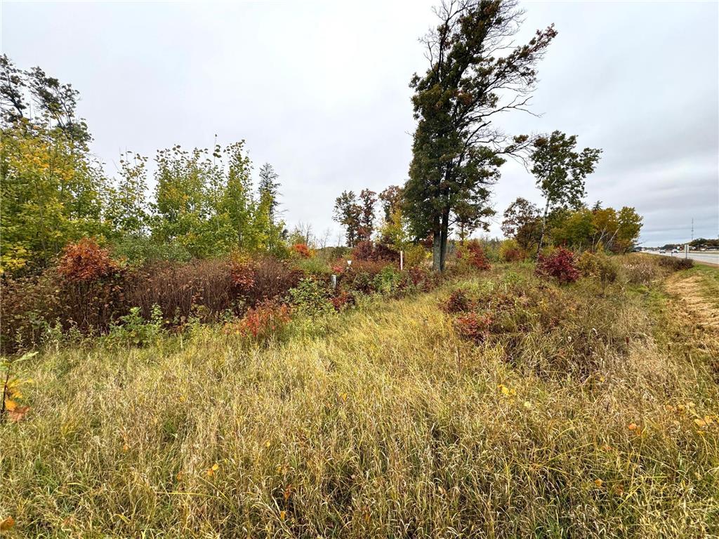 TBD State Highway 371 Brainerd MN 56401 7033774 image16