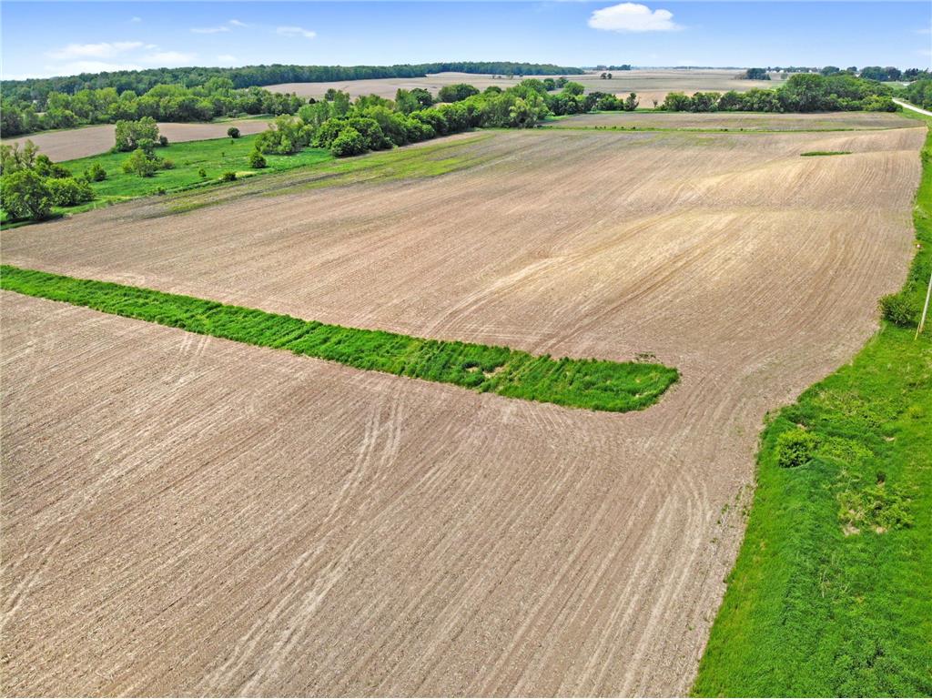 TBD State Highway 57 West Concord MN 55985 7020548 image2