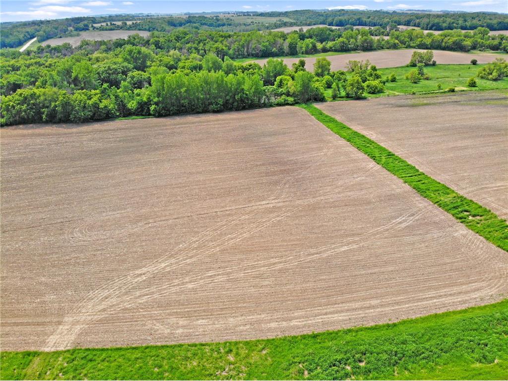 TBD State Highway 57 West Concord MN 55985 7020548 image6