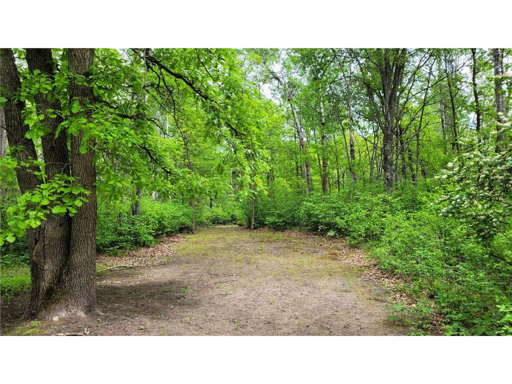 TBD* State Highway 84 SW Pine River MN 56474 6728757 image1