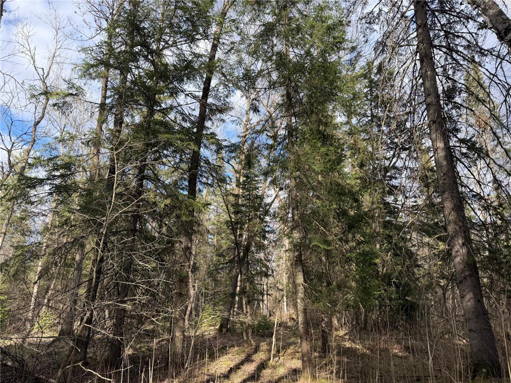 TBD State Highway 87 Menahga MN 56464 7072372 image16