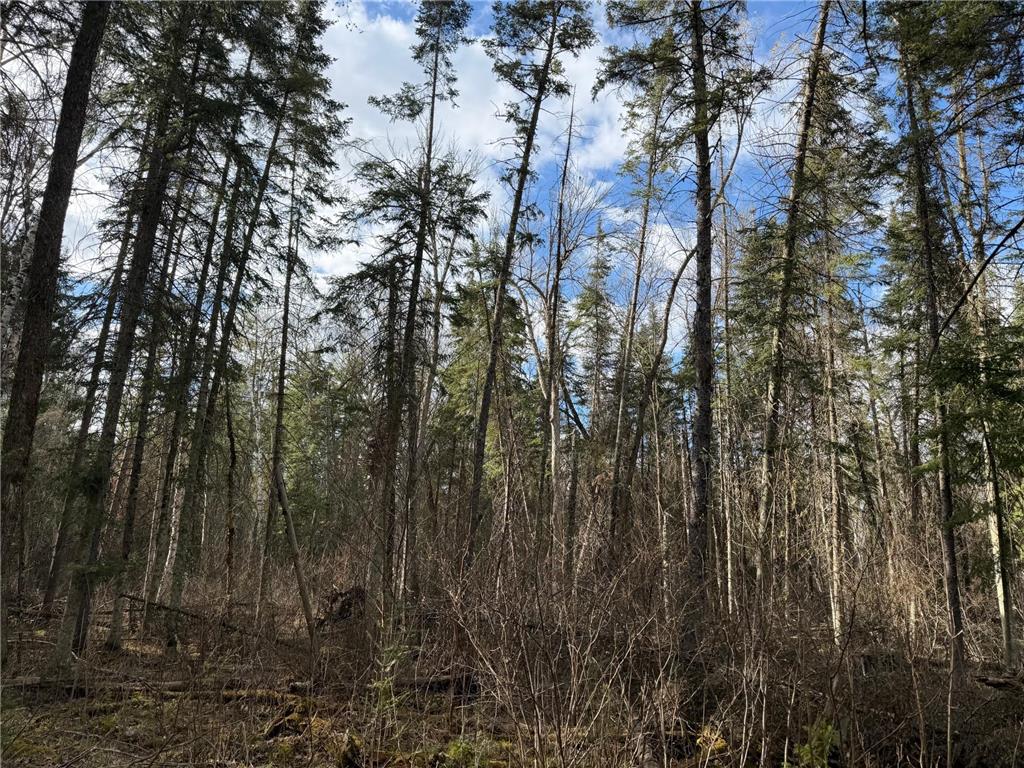 TBD State Highway 87 Menahga MN 56464 7072372 image18