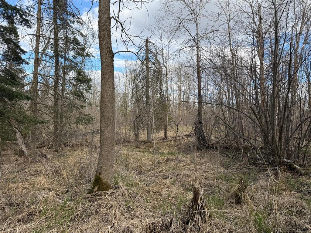 TBD State Highway 87 Menahga MN 56464 7072372 image19
