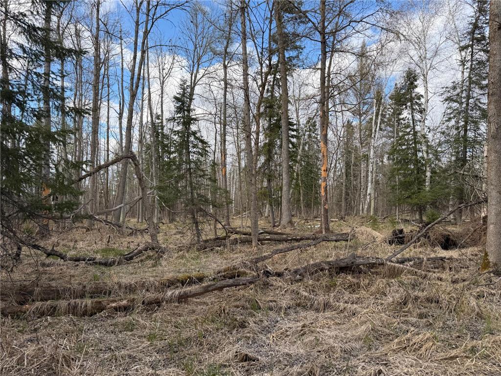 TBD State Highway 87 Menahga MN 56464 7072372 image20