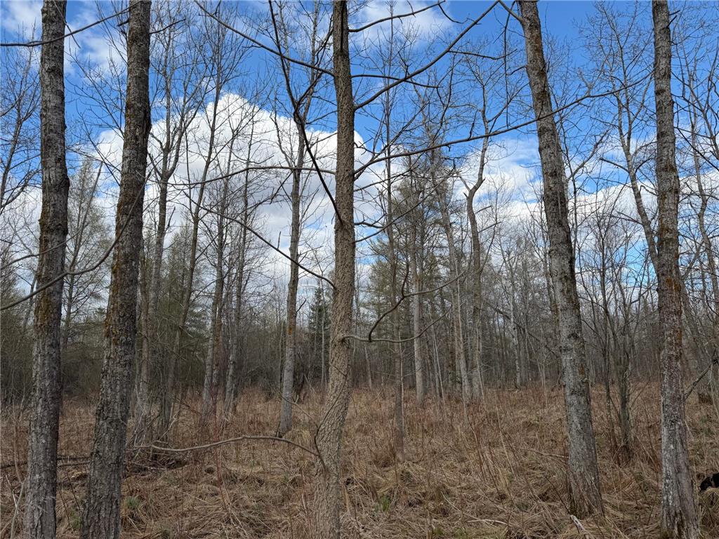 TBD State Highway 87 Menahga MN 56464 7072372 image28