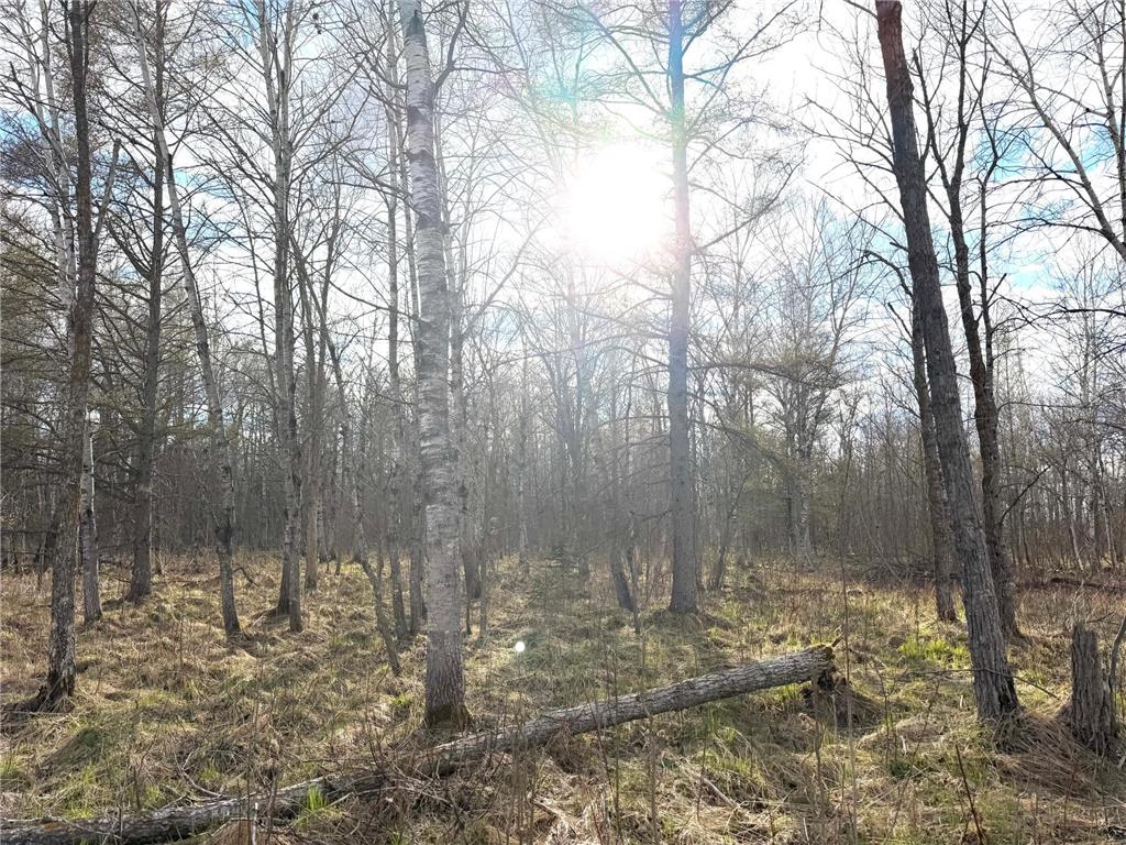 TBD State Highway 87 Menahga MN 56464 7072372 image30
