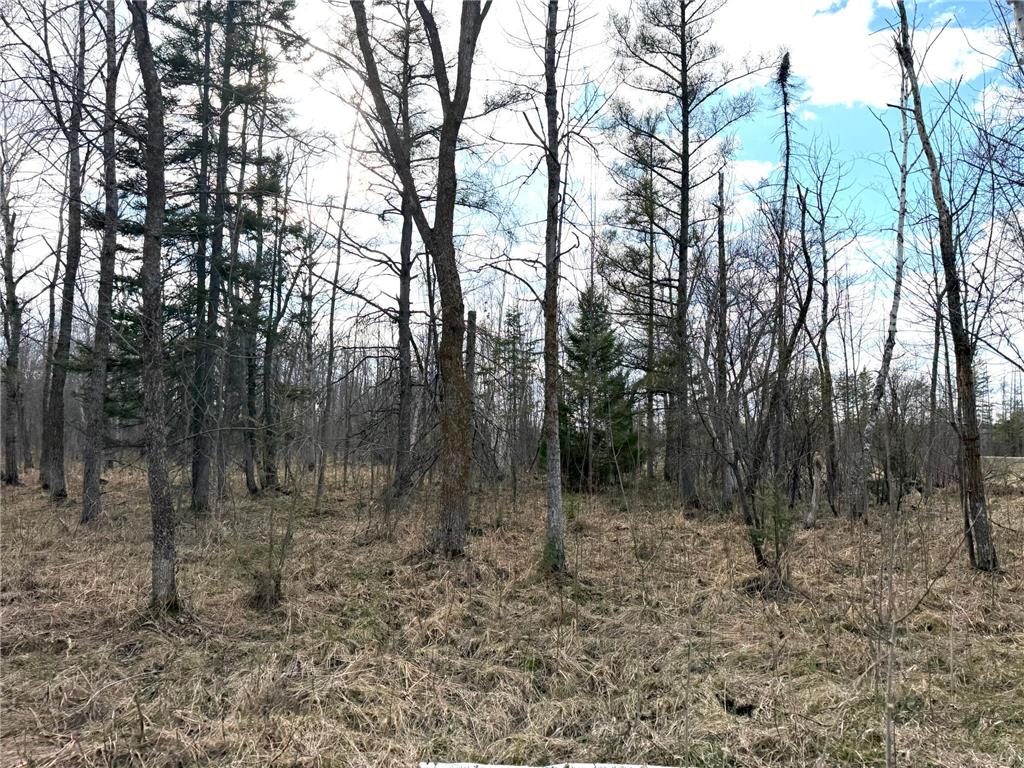 TBD State Highway 87 Menahga MN 56464 7072372 image31