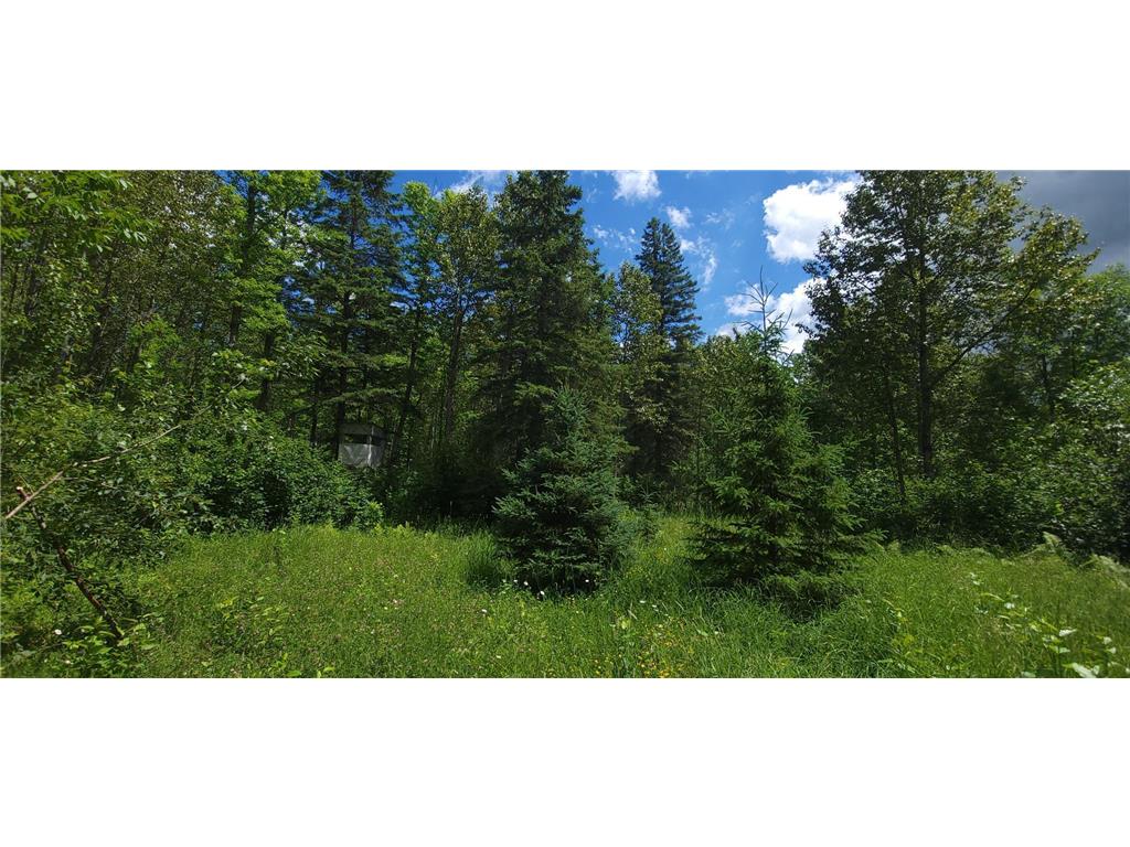 TBD State Hwy 1 Effie MN 56639 6625325 image1