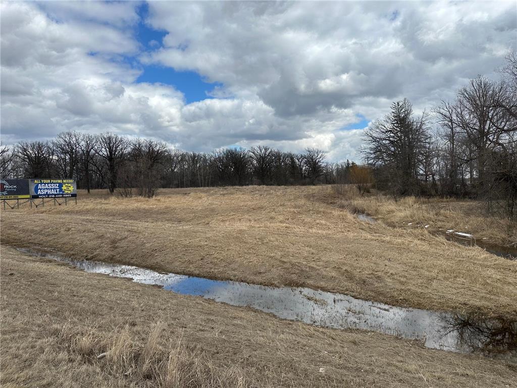 TBD State Hwy 11 Badger MN 56714 7052975 image2