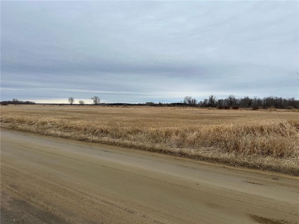 TBD State Hwy 11 Greenbush MN 56726 7051560 image1