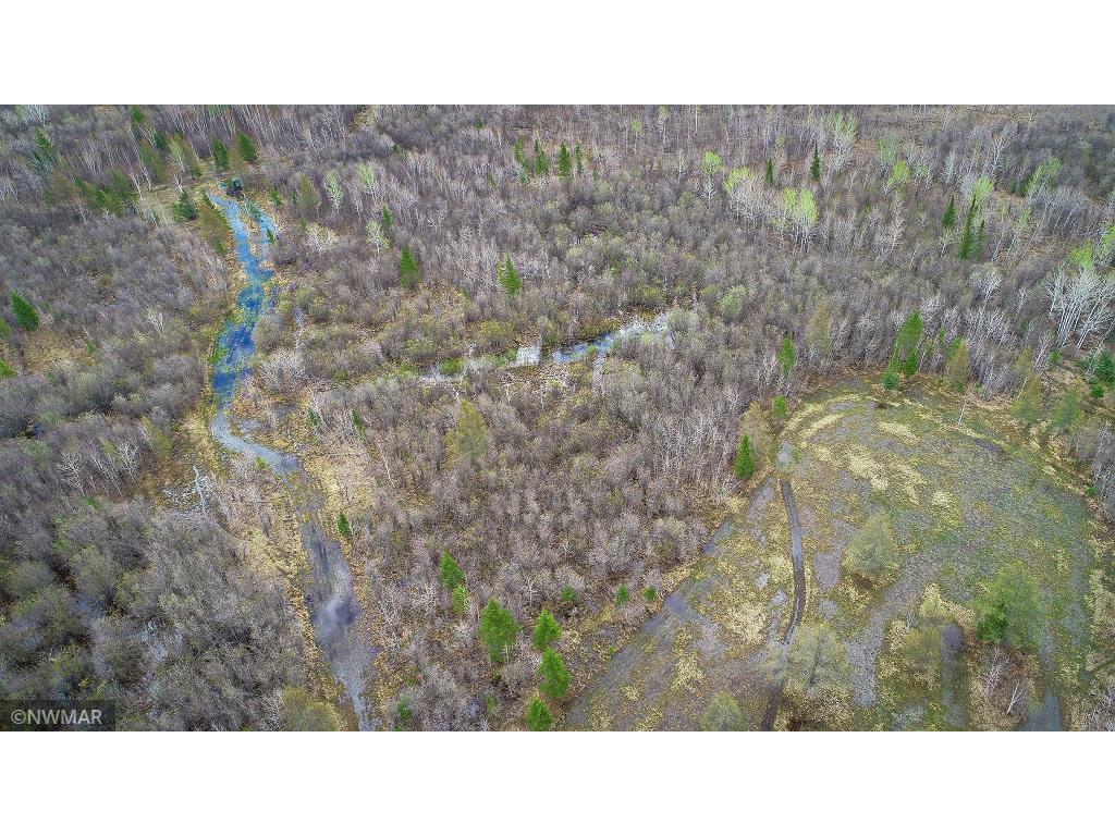 TBD State Hwy 172 Cliff Baudette MN 56623 6194458 image18