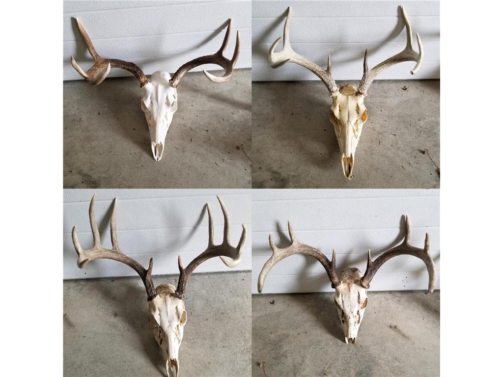 TBD State Hwy 172 Cliff Baudette MN 56623 6194458 image3