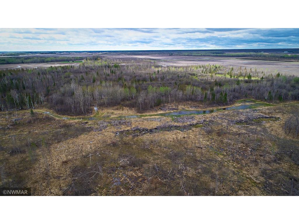 TBD State Hwy 172 Cliff Baudette MN 56623 6194458 image4