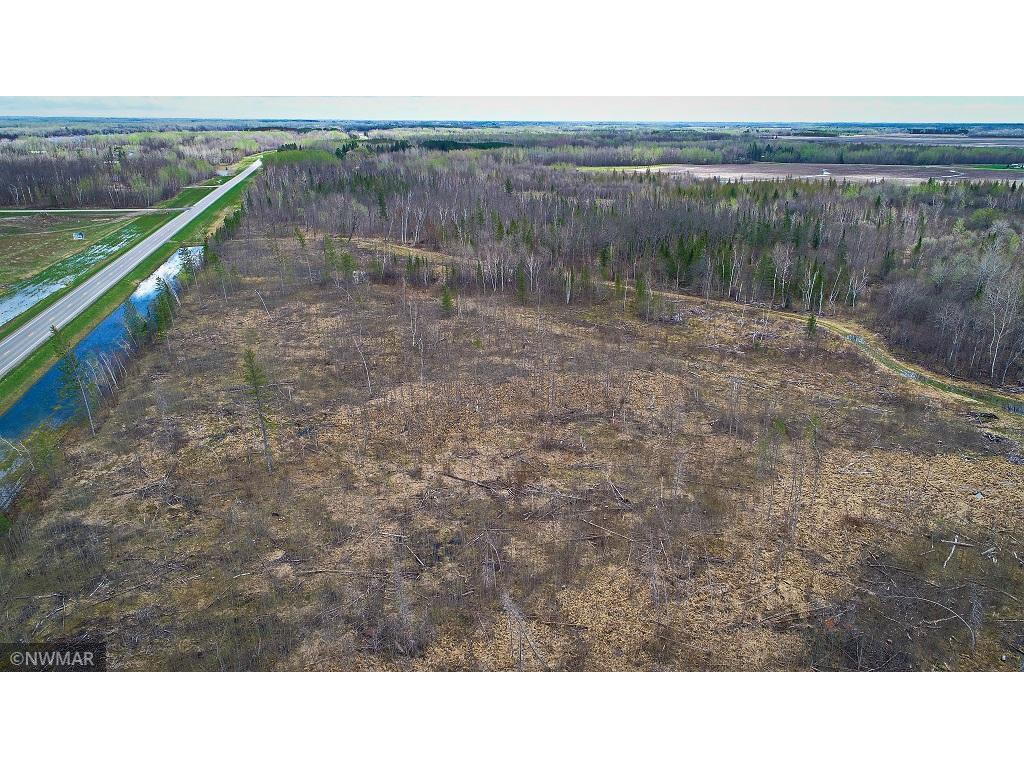 TBD State Hwy 172 Cliff Baudette MN 56623 6194458 image7