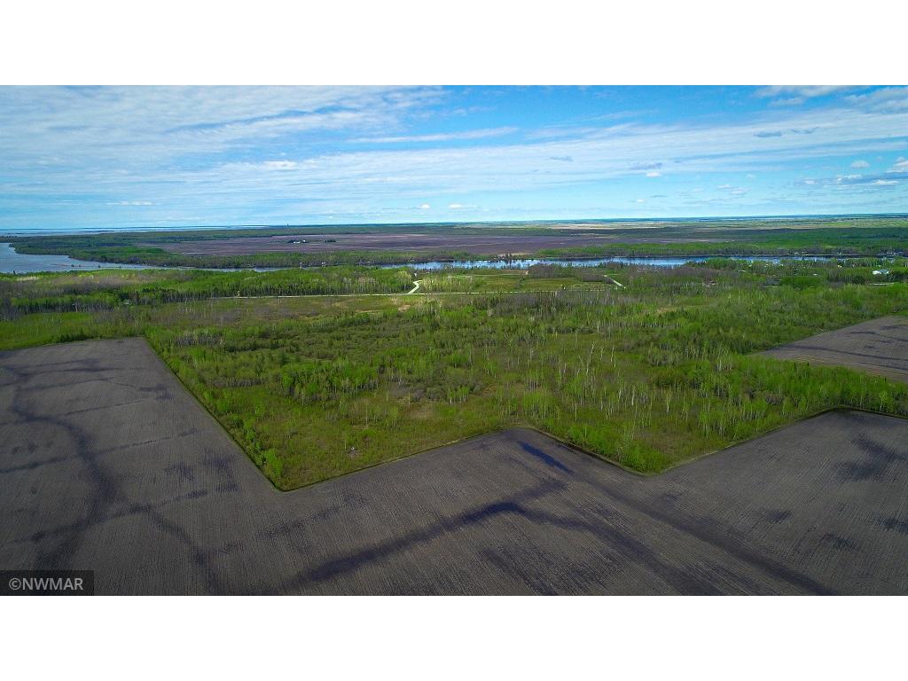 TBD State Hwy 172 Cliff Baudette MN 56623 6194458 image9