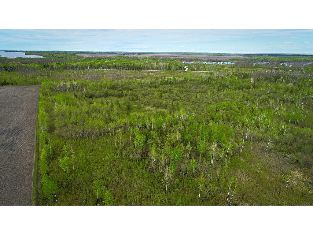 TBD State Hwy 172 Cliff Baudette MN 56623 7078948 image14