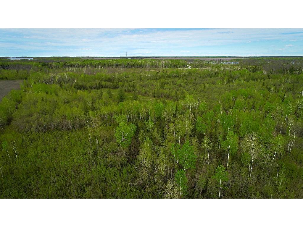 TBD State Hwy 172 Cliff Baudette MN 56623 7078948 image23