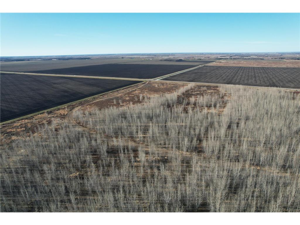 TBD State Hwy 220 Stephen MN 56757 6462594 image1