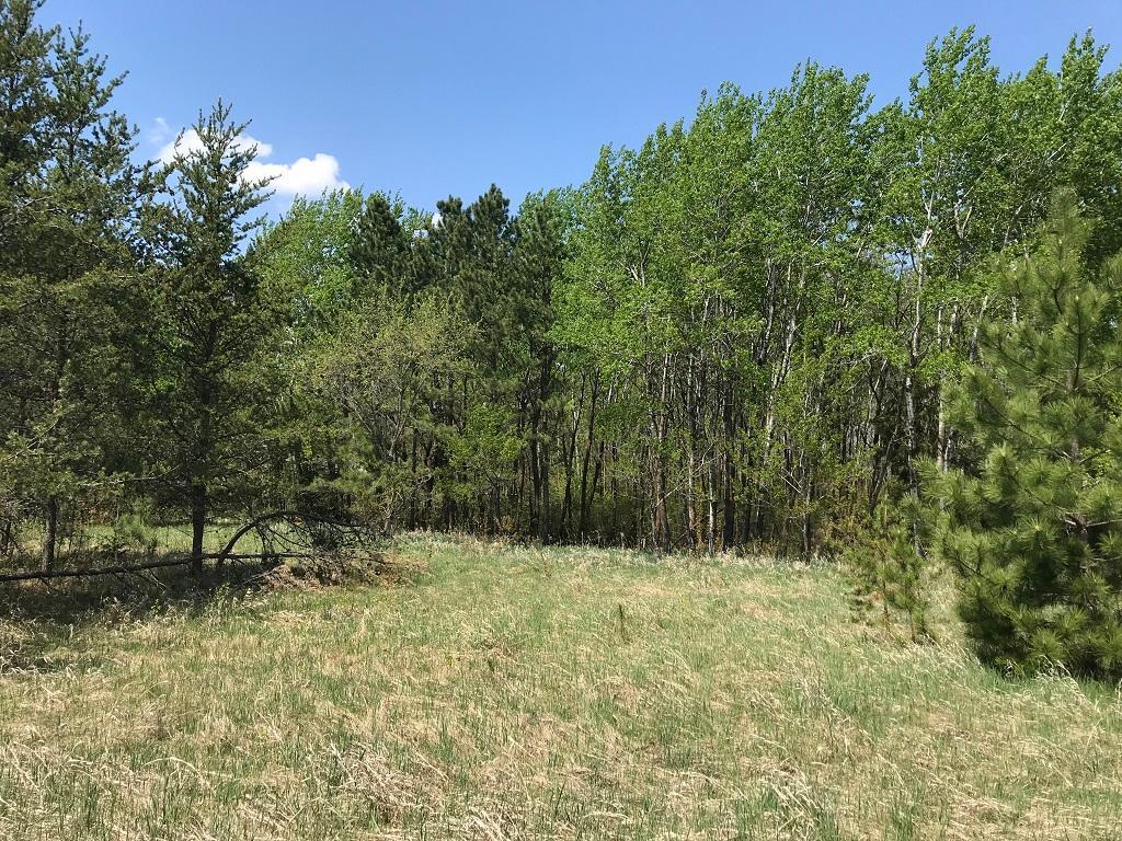 TBD State Hwy 34, Park Rapids, MN, 56470 MLS 6363592 Edina Realty