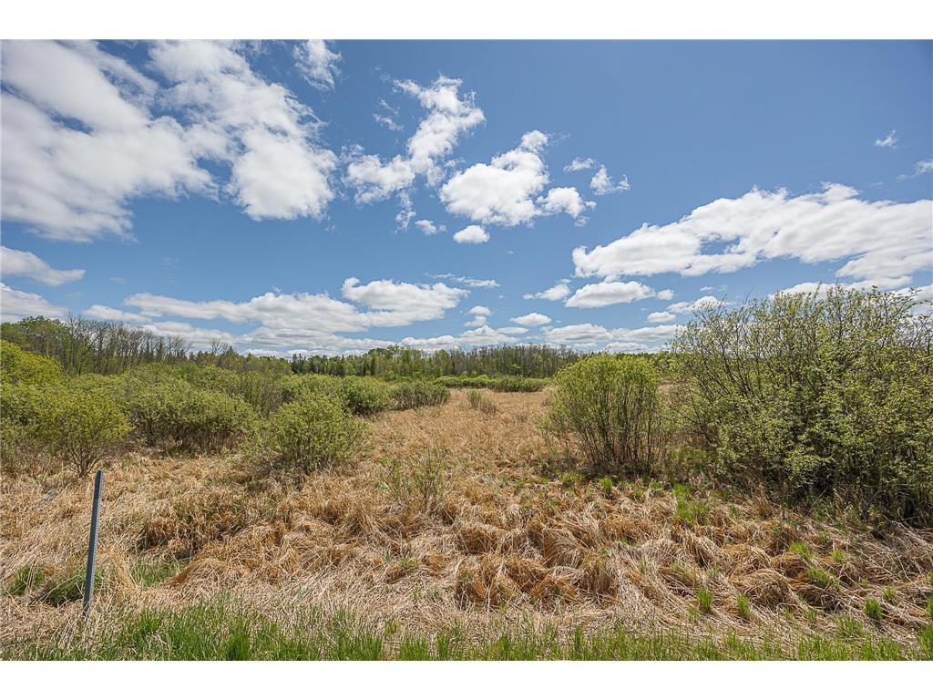 TBD State Hwy 6 Remer MN 56672 - North Fork Willow River 6729569 image3