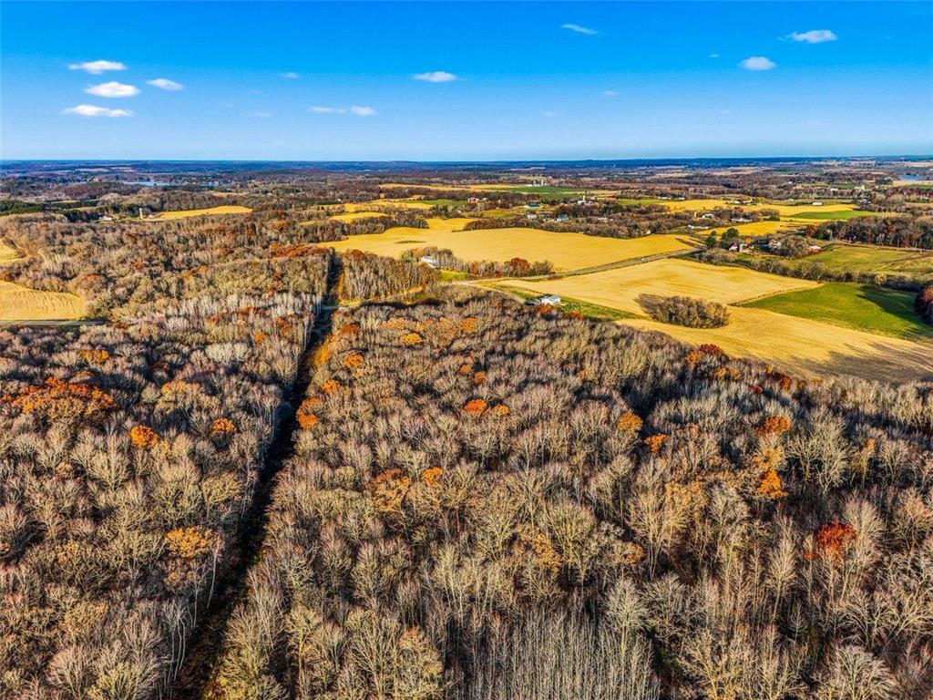 TBD State Road 65 Alden Twp WI 54001 6816546 image1