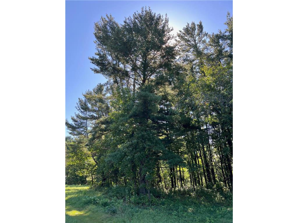 TBD State Road 70 Siren WI 54872 - Clam Lake 6781773 image9